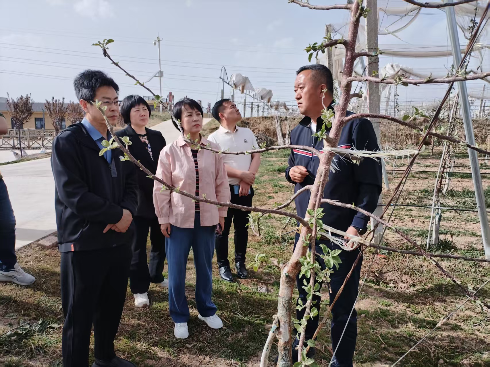 2025年4月16日銅川市供銷合作社王婧副主任與”鮮豐匯“、華東農(nóng)產(chǎn)品交易中心領(lǐng)導(dǎo)班子來我公司益民千畝蘋果示范園觀模視察